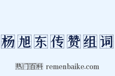 杨旭东传赞组词是什么意思的图片